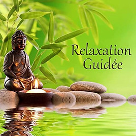 Relaxations Guidées