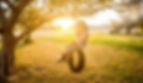 Boy playing on tire swing