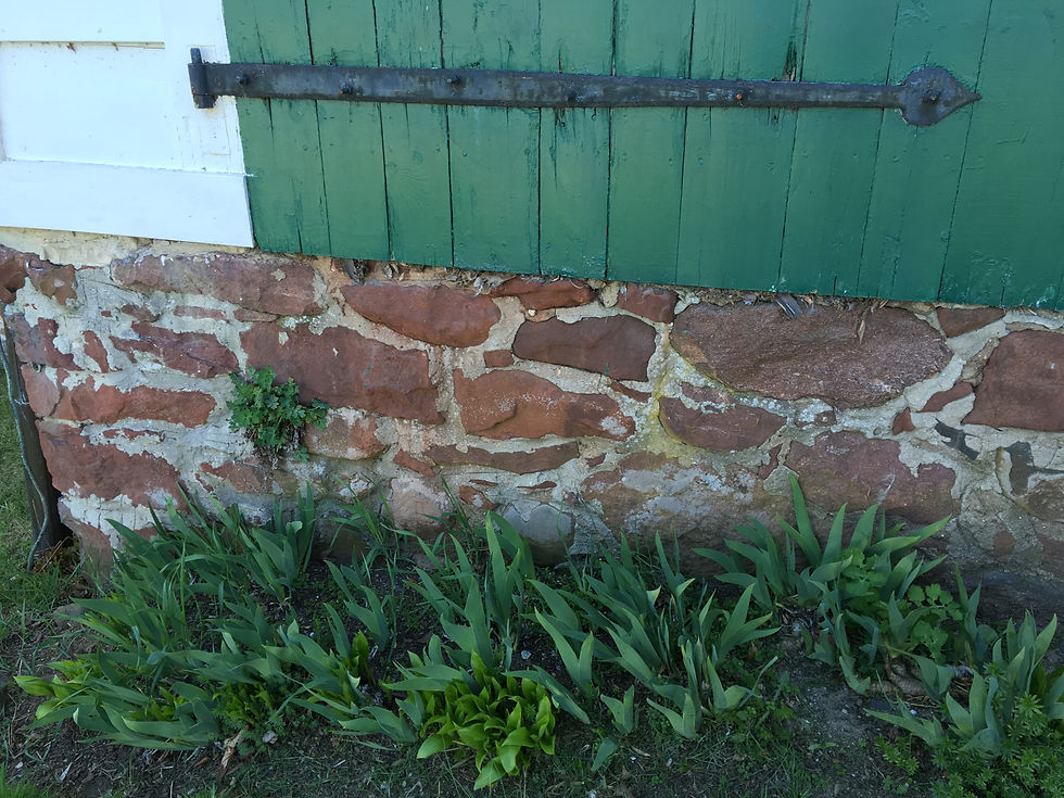 Green Door