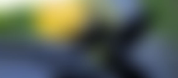 Outdoor tools of the trade