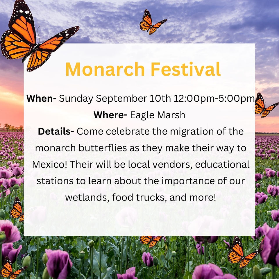 Leaning more about Monarchs and butterflies. Monarch festival is something you have to check out in Fort Wayne, Indiana. This event will have local vendors, educational stations to learn about the importance of our wetlands. food truck will be their for food