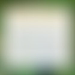 The Fort Wayne Childrens Zoo is providing multiple themes this October as the zoo season comes to close. This weekend enjoy all things trucks and tractors while you’re there!