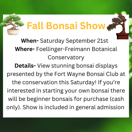 Foellinger-Freimann Botanical Conservatory. View stunning bonsai display presented by the Fort Wayne Bomsai Club at the Conservation.