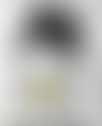 Are more about historic businesses at Fort Wayne business journal 229 Berry St. was one of a historic businesses that sold old concrete machine machines. There are more about historic businesses at Fort Wayne business Journal.