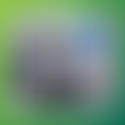 Fort Wayne's 202 Metro Building to Rise Again: Historic Reconstruction After 1967 Fire Downtown