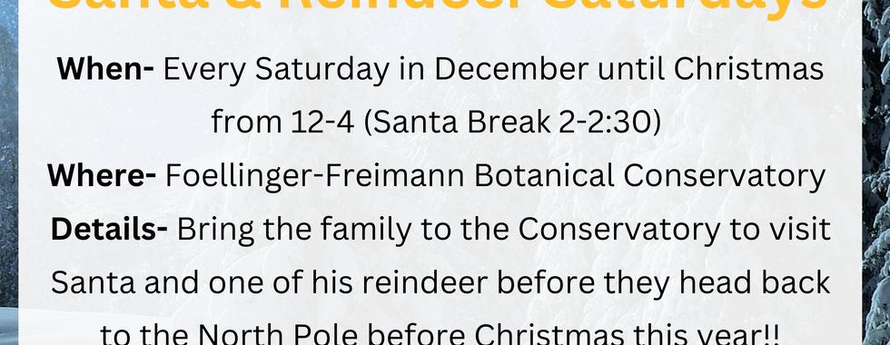 Santa and Reindeer Saturdays are back at the Foellinger-Freimann Botanical Conservatory. Every Saturday until Christmas Santa and one of his Reindeer will be visiting the conservatory so grab the kids and come say hello!