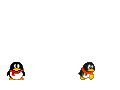 6096534268439bwT.gif