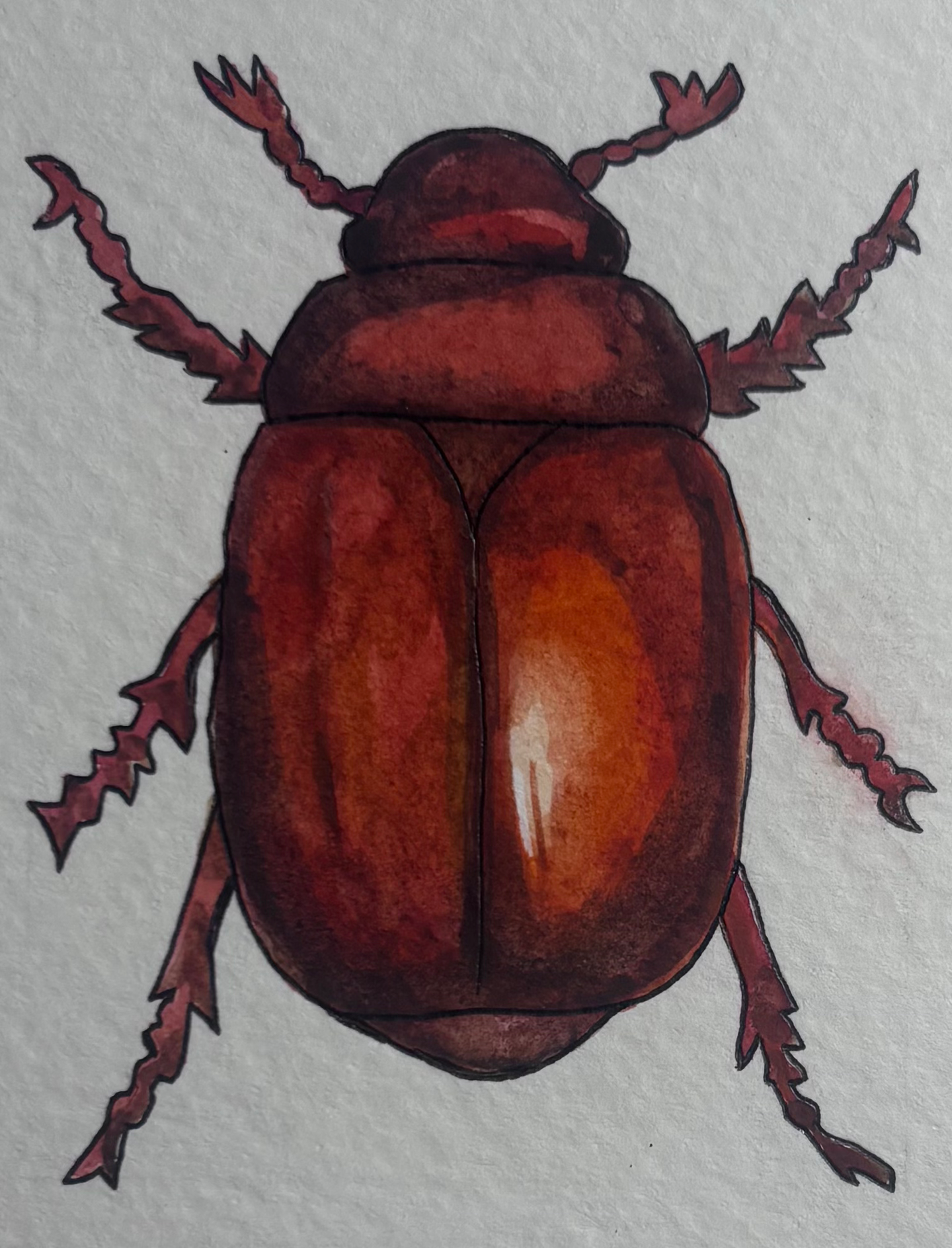 0FDE95F2-3B8C-4E59-B675-45E1A0806AFE_1_201_a