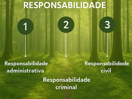 Tríplice Responsabilidade Ambiental: O que é e Como Impacta o Produtor Rural