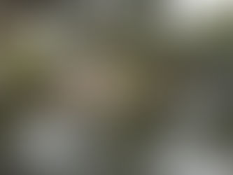 Discovering Seven Sisters Campground — Our Paddle-Boarding Hideaway