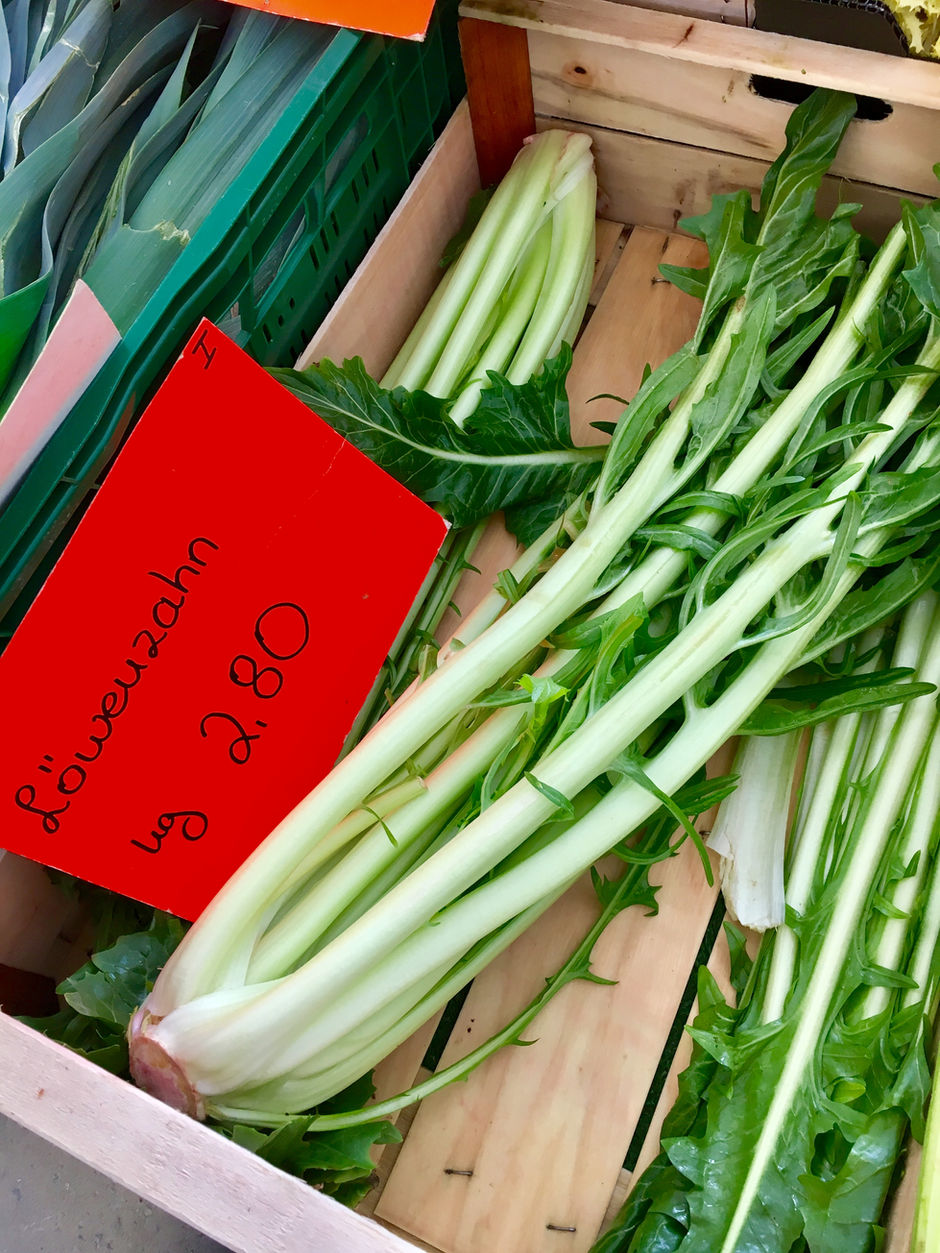 Löwenzahn: Like a French Baguette Except Leafy and German!