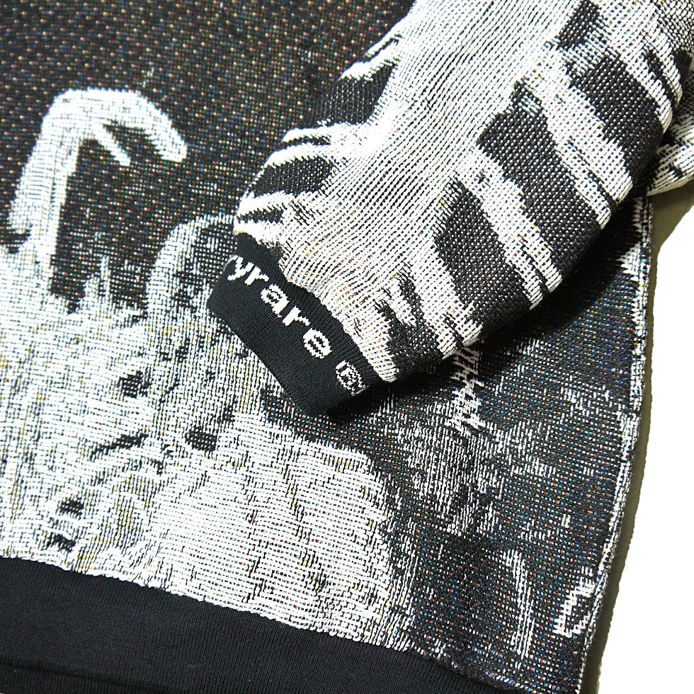 サムネイル： "VERY RARE" Mosh Pit Jacquard Crewneck