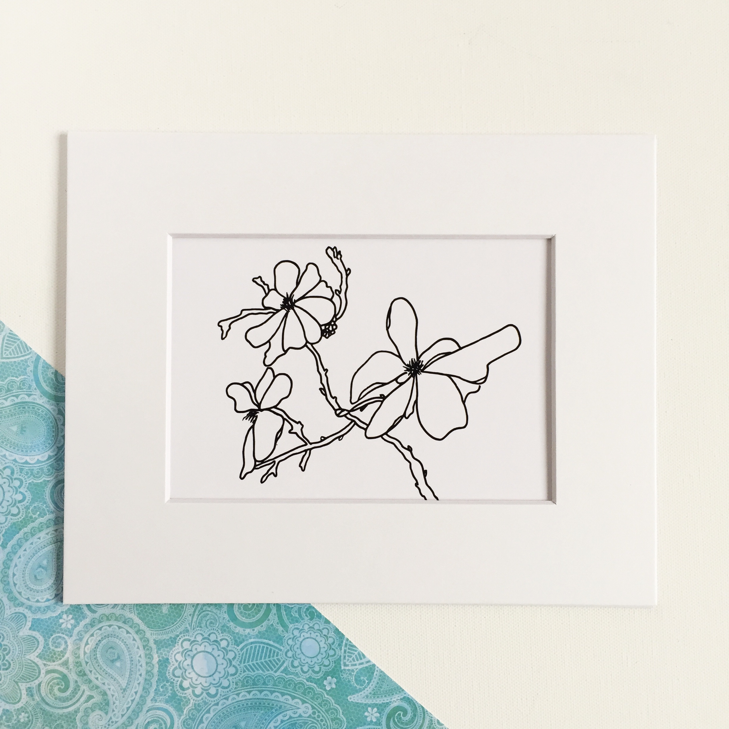 magnolia blossoms