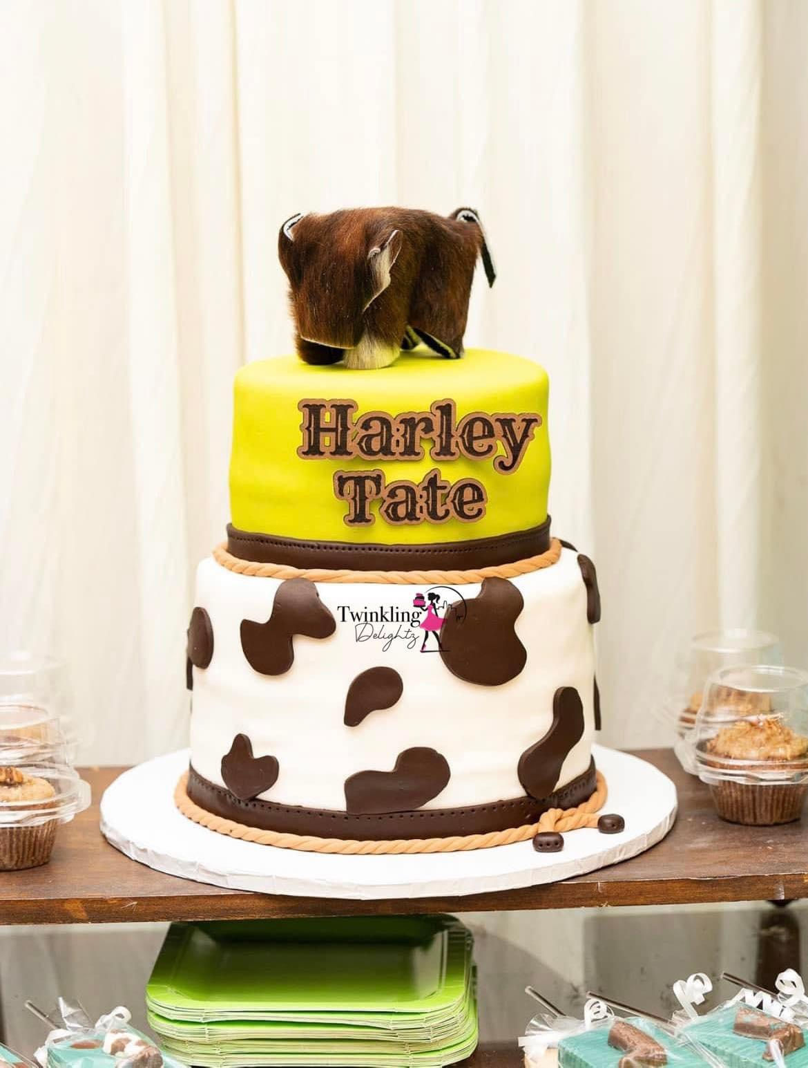 Baby shower cake * Fondant*