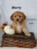 20230914_134736_edited