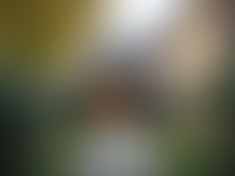 Understanding UK Permitted Development Rights: A Guide for Property Owners and Developers