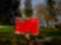 IMG_2808.JPEG