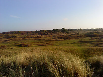 Les dunes deBretteville-sur-Ay