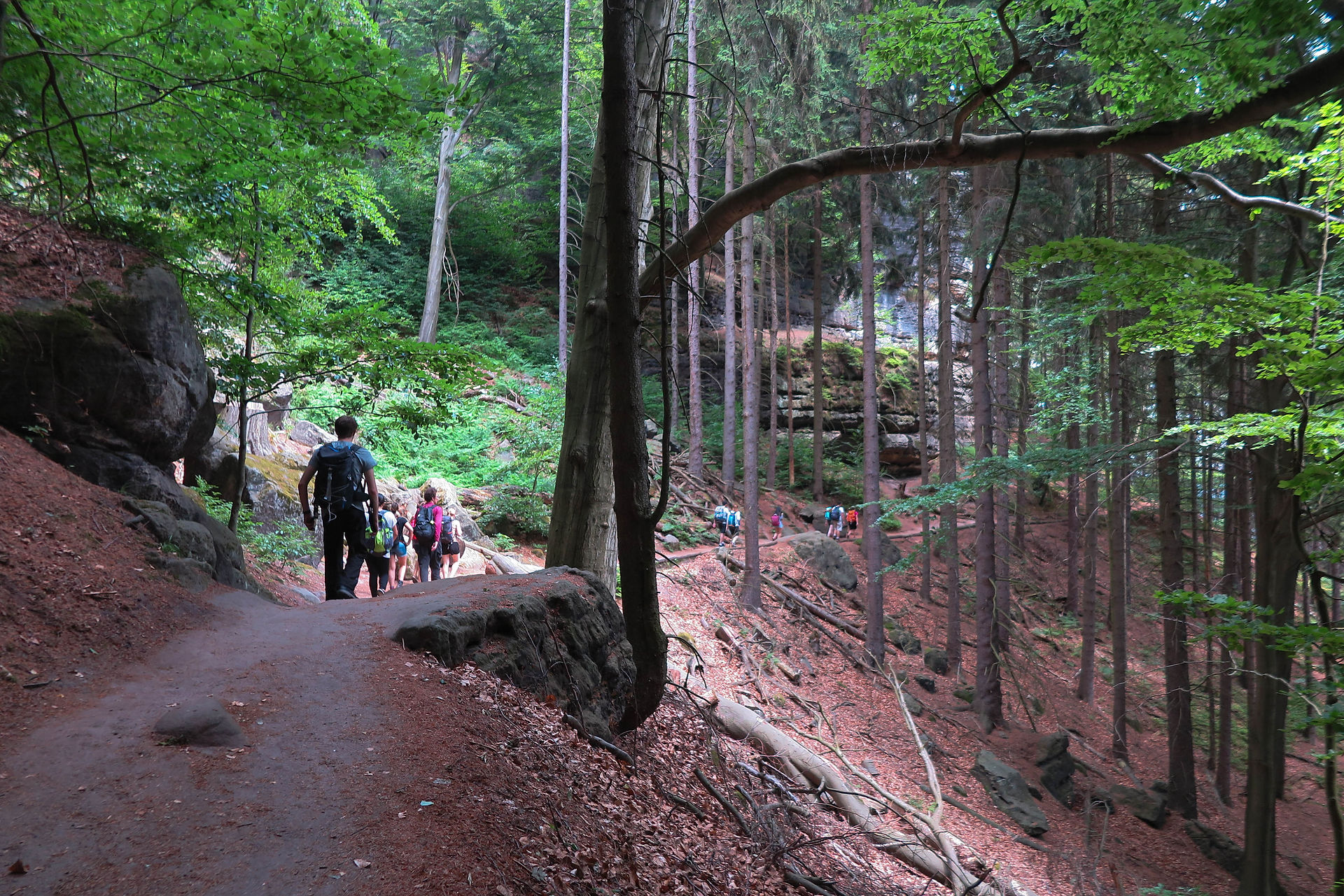 Randonnée Parc de la Suisse Bohémienne République Tchèque