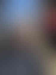 La Grande Synagogue de Vienne Autriche