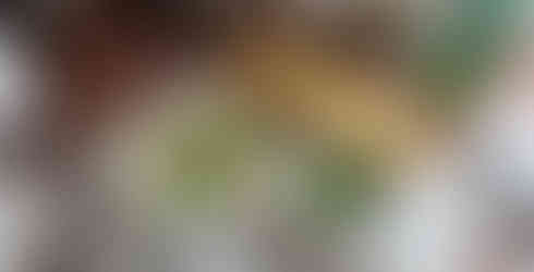 Restaurant avec vue sur la Vltava Prague