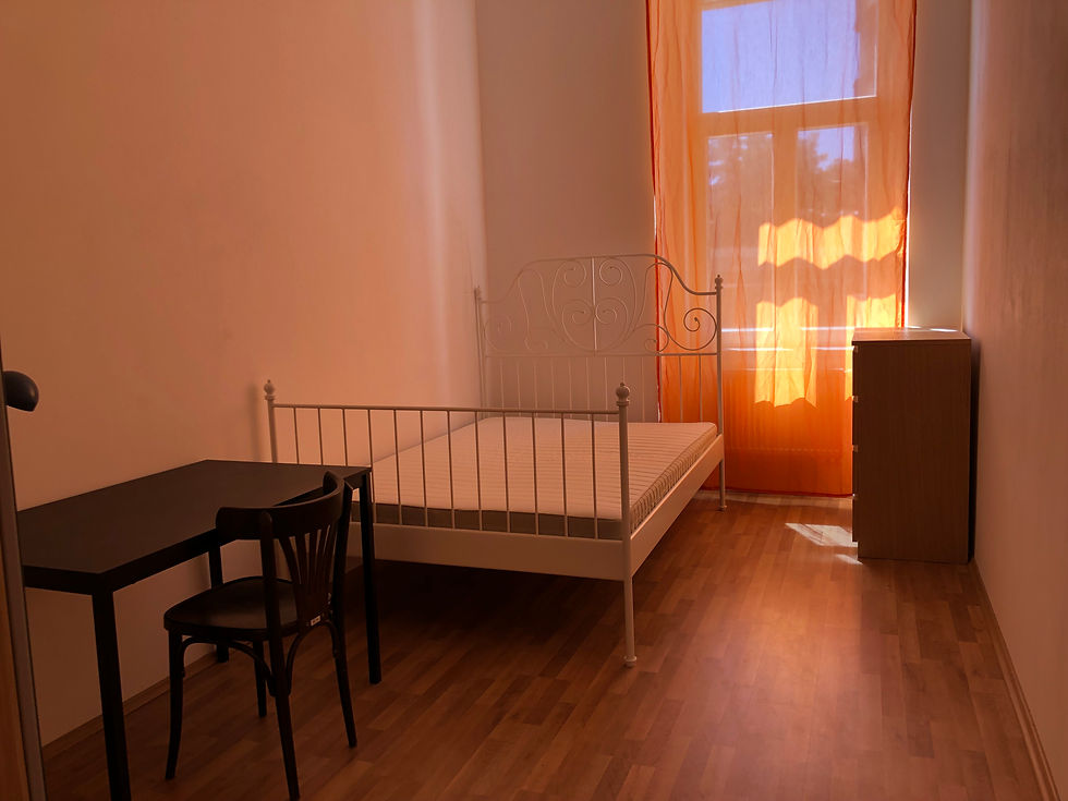 Les derniers jours du volontariat à Prague