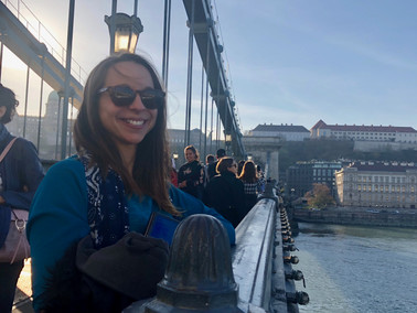 Pont des Chaînes Budapest Hongrie