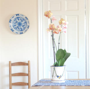 Sunlit Westchester Home - dining room