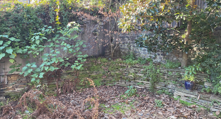Toni-Napier_Upper-B&A.gif