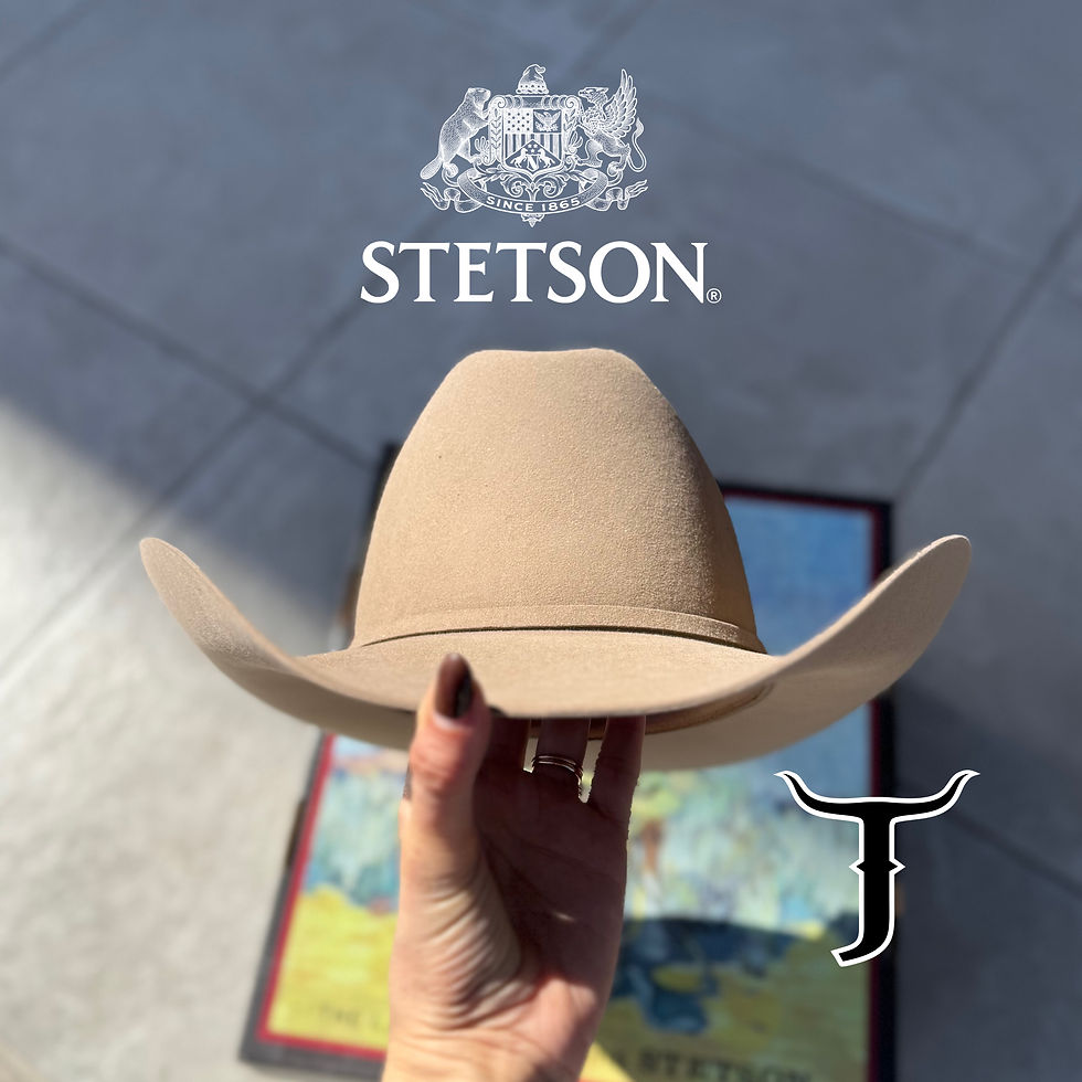 Miniatura: STETSON 6X SKYLINE SAHARA