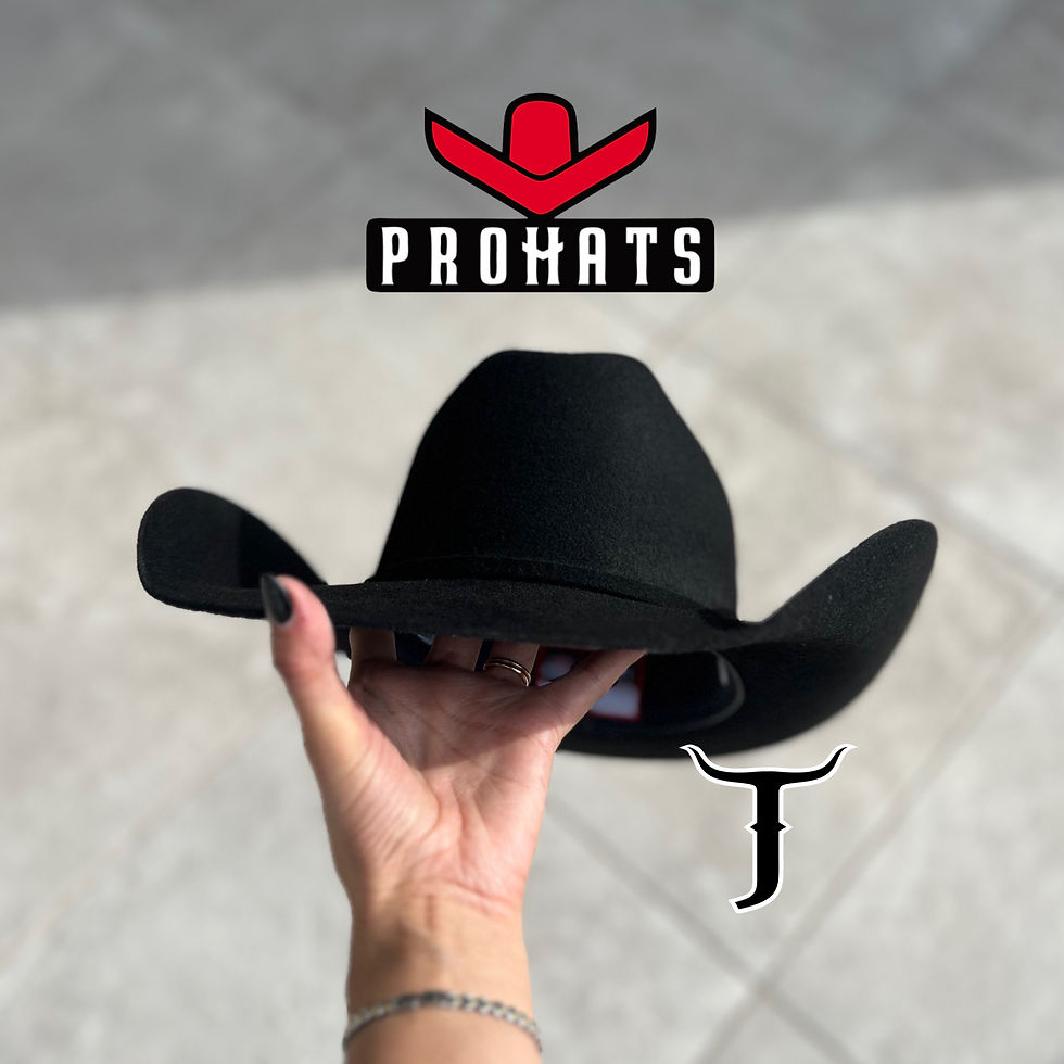 Miniatura: PROHATS TEXANA  ROPER NEGRA