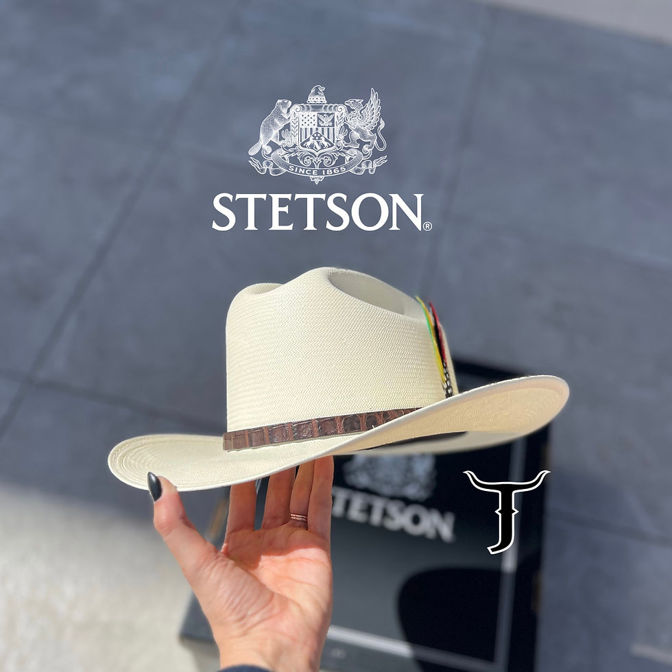 Miniatura: STETSON 1,000X EVILLA DE ORO FALDA 31/2"PULGADAS
