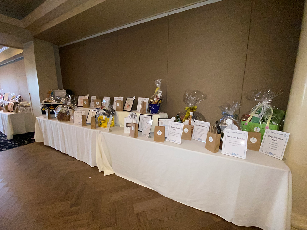 Spring Fundraiser recap