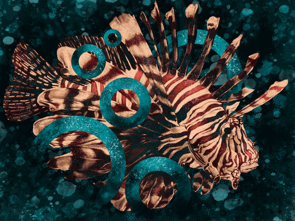 Lionfish