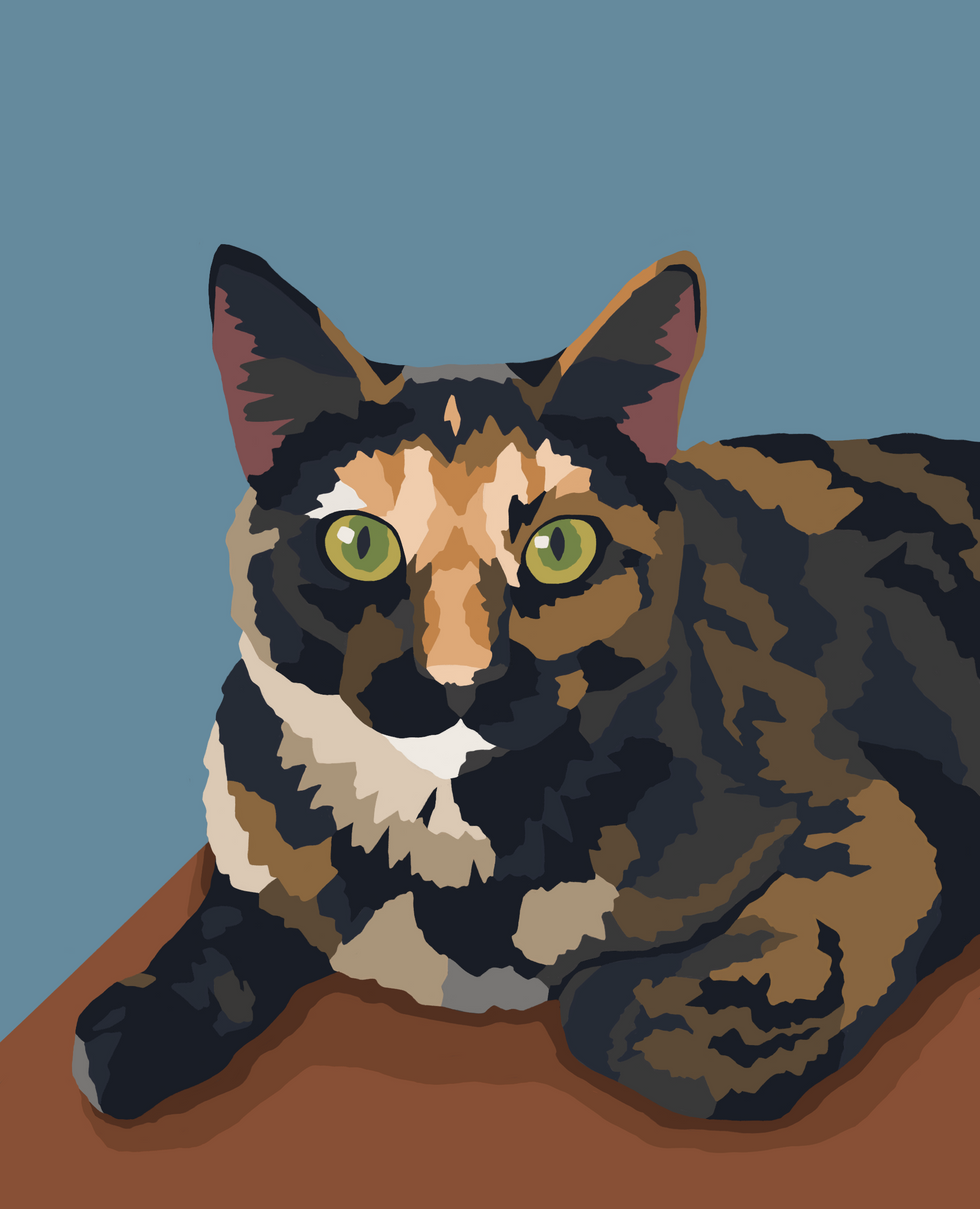 Juniper