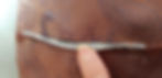 ree
