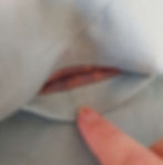 ree