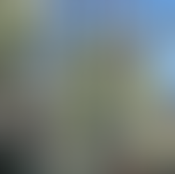 Reworking the Framework: Bester, Coolbinia