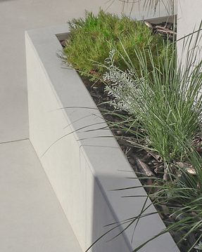 Native waterwise landscaping framing the courtyard at Wetland North Perth, a home built by Sanus Build