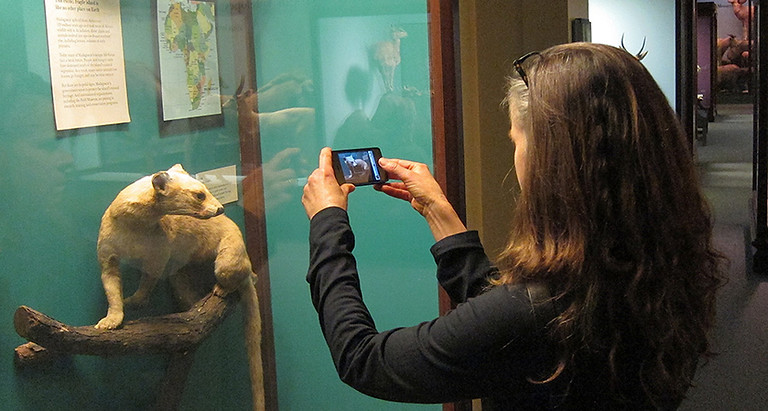 CF robin field nuseum. opt.JPG