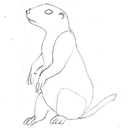 prairie dog sketch opt.JPG