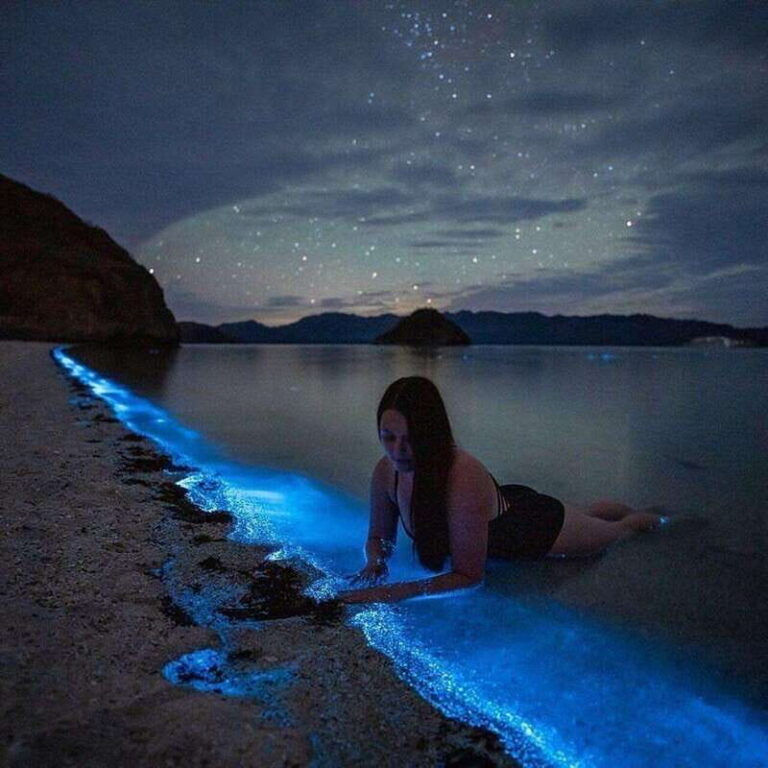 Bioluminiscencia en Chacahua