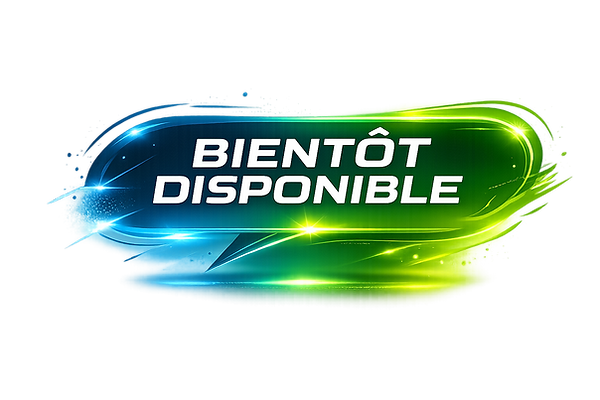 ChatGPT Image 23 févr. 2026, 20_07_03.png