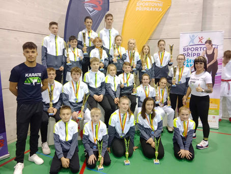 Mezinárodní Sparing Camp & turnaj O pohár primátorky Českých Budějovic