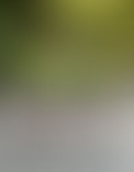 🥋 Ukončení tréninků před letními prázdninami