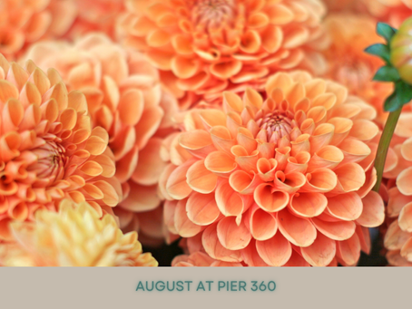 August @ Pier360