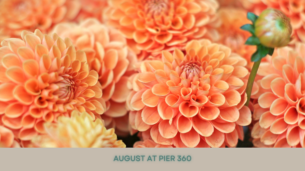 August @ Pier360