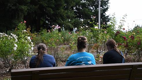 allison Merin Emily rose garden 2.png