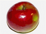 clip_image004.gif