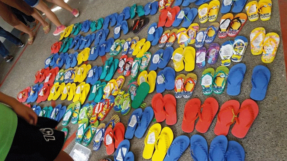 SlipperAndFeedingProgram.gif